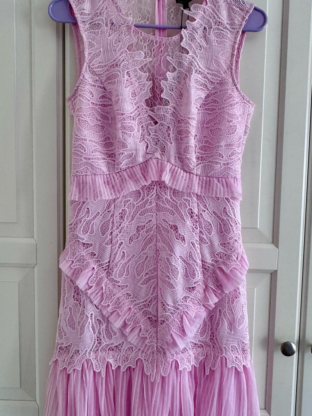 Bardot Pink Lace Ruffle Mini Dress XS
